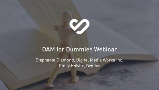 DAM for Dummies Webinar