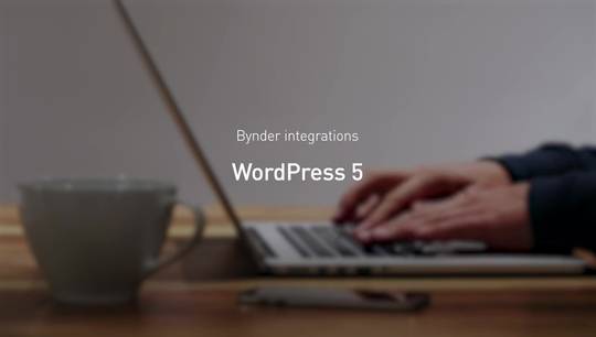 Bynder integrates with Wordpress 5
